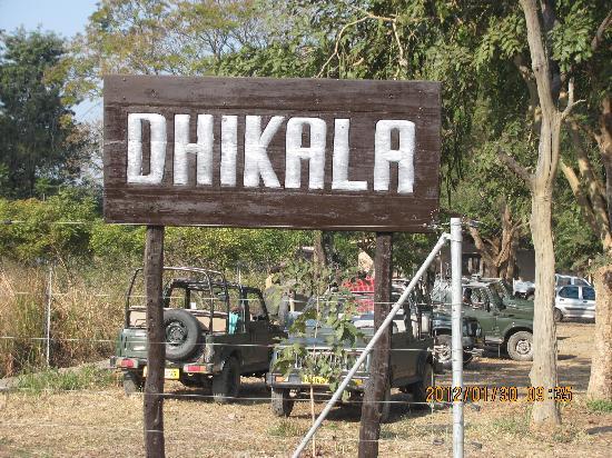 Dhikala